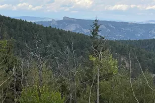 11857 Coal Creek Heights Dr, Golden, CO 80403 - Photo 45