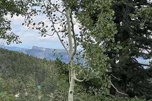 11857 Coal Creek Heights Dr, Golden, CO 80403 - Photo 41