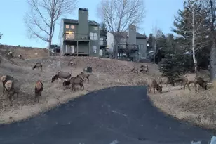 23518 Pondview Pl, Golden, CO 80401 - Photo 23