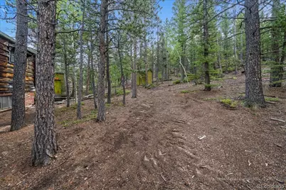 177 Sutherland Road, Allenspark, CO 80510 - Photo 31