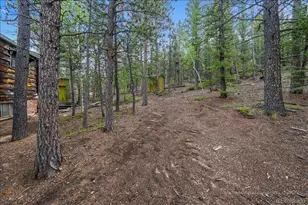 177 Sutherland Rd, Allenspark, CO 80510 - Photo 31