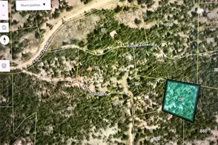 177 Sutherland Rd, Allenspark, CO 80510 - Photo 33