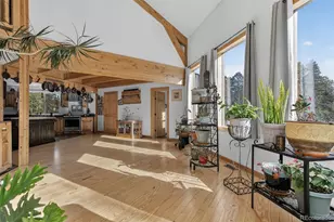 189 Hard Way Rd, Ward, CO 80481 - Photo 17