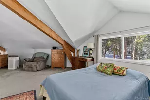 189 Hard Way Rd, Ward, CO 80481 - Photo 39