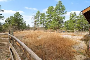 6541 Alpine Dr, Parker, CO 80134 - Photo 25