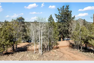 530 Columbine Road, Florissant, CO 80816 - Photo 17