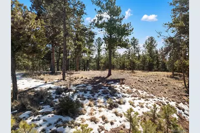 530 Columbine Road, Florissant, CO 80816 - Photo 19