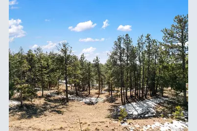 530 Columbine Road, Florissant, CO 80816 - Photo 15