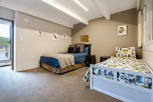 165 Wheeler Pl, Frisco, CO 80443 - Photo 21