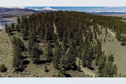 2261 Meteor Placer, Twin Lakes, CO 81251 - Photo 35