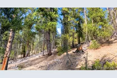 111 Kevin Gulch Road, Leadville, CO 80461 - Photo 3