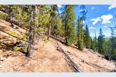 111 Kevin Gulch Road, Leadville, CO 80461 - Photo 9
