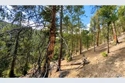 111 Kevin Gulch Road, Leadville, CO 80461 - Photo 5