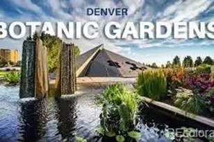 1060 N Washington St, Denver, CO 80203 - Photo 3