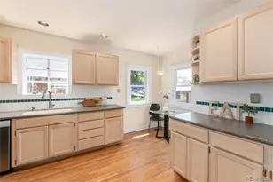 1567 Ivanhoe St, Denver, CO 80220 - Photo 15