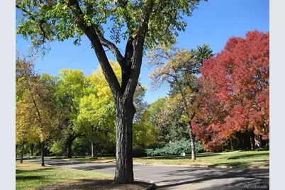 1567 Ivanhoe Street, Denver, CO 80220 - Photo 35