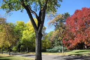 1567 Ivanhoe St, Denver, CO 80220 - Photo 35