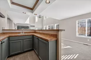 4425 Iran, Denver, CO 80249 - Photo 7