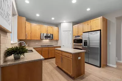 592 Meadowleaf Lane, Highlands Ranch, CO 80126 - Photo 9