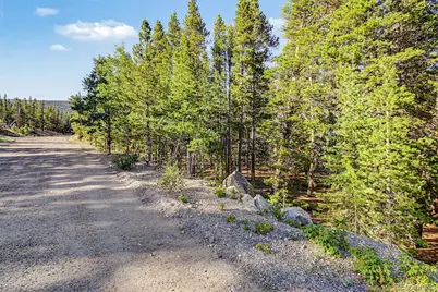Elk Road, Idaho Springs, CO 80452 - Photo 3