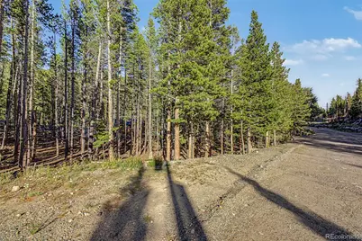 Elk Road, Idaho Springs, CO 80452 - Photo 5