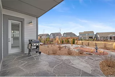 3351 Carabiner Street, Castle Rock, CO 80108 - Photo 41