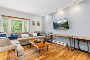 216 Pitkin St, Frisco, CO 80443 - Photo 1