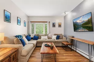 216 Pitkin St, Frisco, CO 80443 - Photo 5