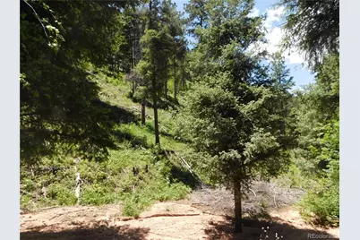 13175 Spruce Creek Circle, Larkspur, CO 80118 - Photo 21