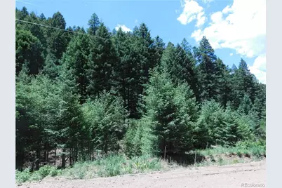 13175 Spruce Creek Circle, Larkspur, CO 80118 - Photo 25