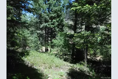 13175 Spruce Creek Circle, Larkspur, CO 80118 - Photo 3