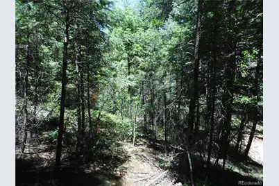 13175 Spruce Creek Circle, Larkspur, CO 80118 - Photo 27