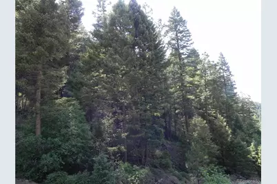 13175 Spruce Creek Circle, Larkspur, CO 80118 - Photo 11