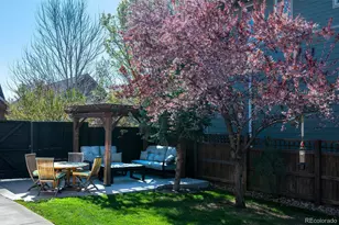 2831 Joliet St, Denver, CO 80238 - Photo 31