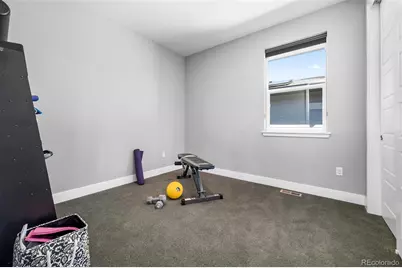 2831 Joliet Street, Denver, CO 80238 - Photo 27