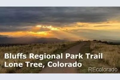 10064 Bluffmont Court, Lone Tree, CO 80124 - Photo 29