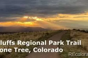 10064 Bluffmont Ct, Lone Tree, CO 80124 - Photo 29