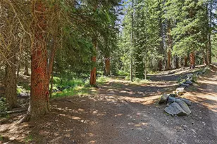 907 Hefferman Gulch Rd, Idaho Springs, CO 80452 - Photo 23