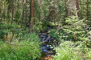907 Hefferman Gulch Rd, Idaho Springs, CO 80452 - Photo 7