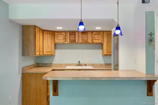 9379 Yale Ln, Littleton, CO 80130 - Photo 31
