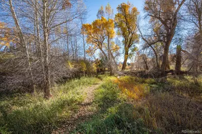 10215 County Road 163, Salida, CO 81201 - Photo 19