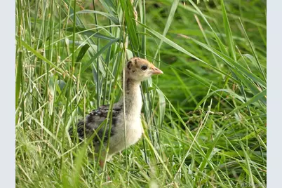 1601 Great Western Drive #J7, Longmont, CO 80501 - Photo 29