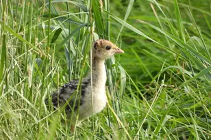 1601 Great Western Dr, Longmont, CO 80501 - Photo 29