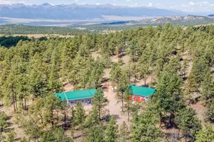 2796 Black Fawn Ln, Westcliffe, CO 81252 - Photo 39