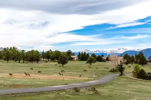 1992 Columbine Ct, Golden, CO 80401 - Photo 47