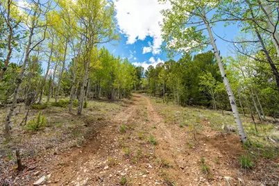 1023 Mexican Ridge Circle, Como, CO 80432 - Photo 37