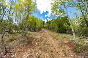 1023 Mexican Ridge Cir, Como, CO 80432 - Photo 37