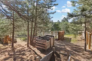 7186 Julie Ln, Evergreen, CO 80439 - Photo 49