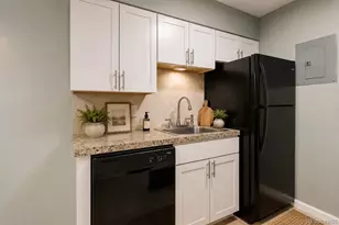 381 S Ames St, Lakewood, CO 80226 - Photo 7