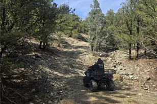 8260 Co Rd 28, Cotopaxi, CO 81223 - Photo 23